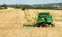 Grass-seed demand back to normal in a world that’s far from normal